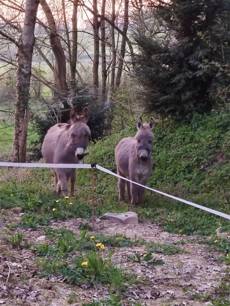 c721aec5-8fc2-4d73-a5eb-4fdab9913fd2